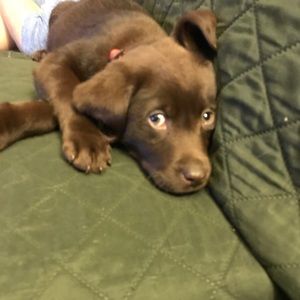 Meet your Posher, Julia